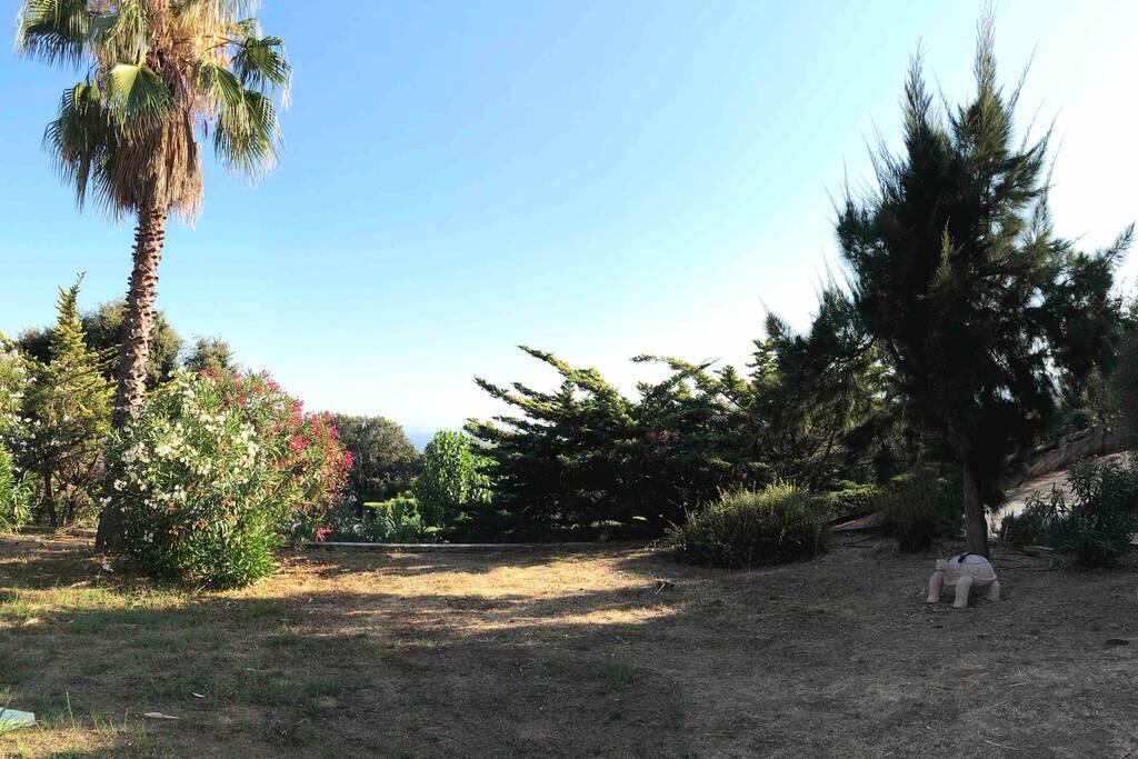 Rez De Villa Bordure Ajaccio Ajaccio  Buitenkant foto